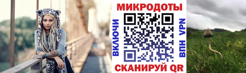 Псилоцибиновые грибы Psilocybine cubensis Купить где Мамадыш